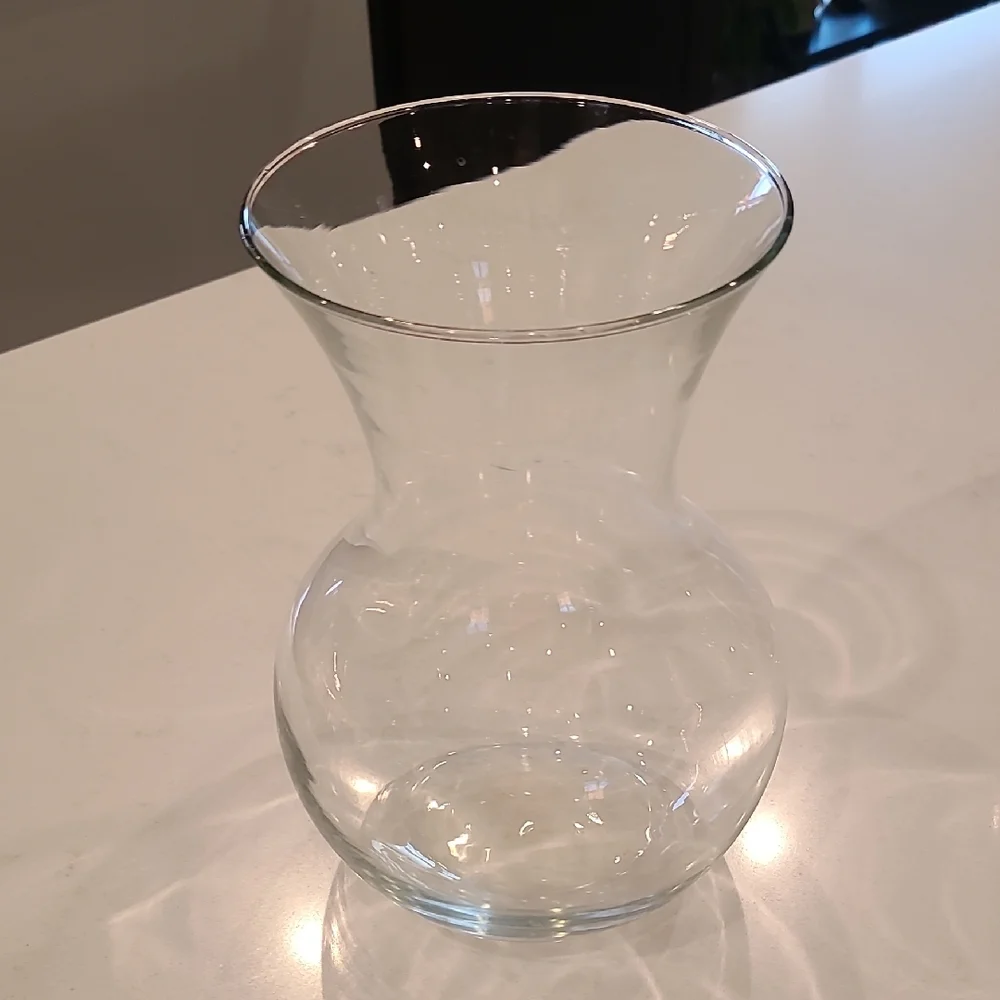 Elegant Clear Glass Vase